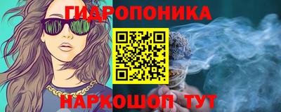 apvp Тверь
