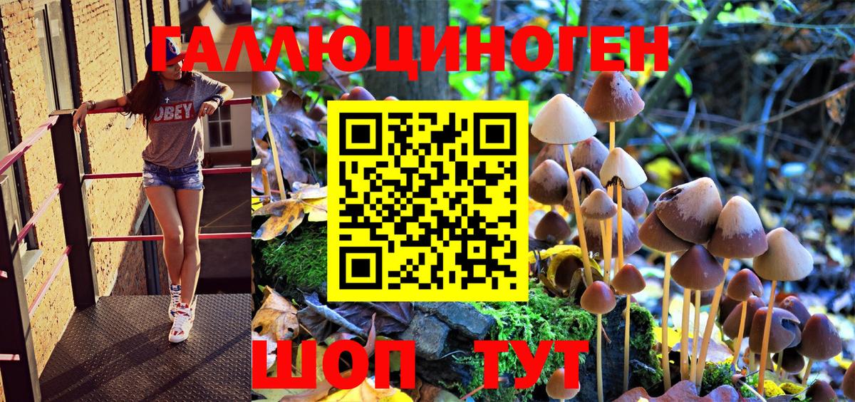 Галлюциногенные грибы MAGIC MUSHROOMS Нижнекамск