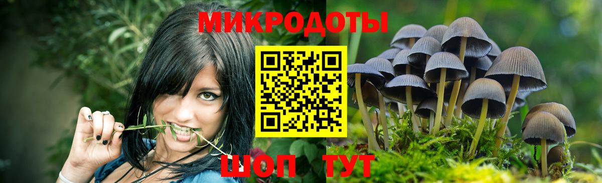 Нижнекамск  Галлюциногенные грибы мухоморы  Вход с VPN 